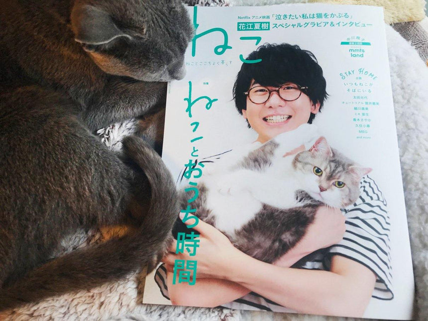 ねこ 115号にジゼルトモモ のステイホームが掲載されました! - Giselle & Momo