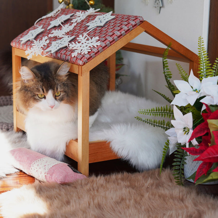 ジゼルトモモのポップアップストア@自由が丘、青山