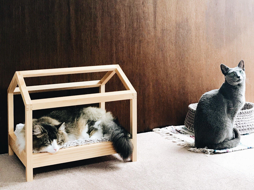 ねこのきもちウェブマガジンでスケルトンハウスが取り上げられました。 - Giselle & Momo