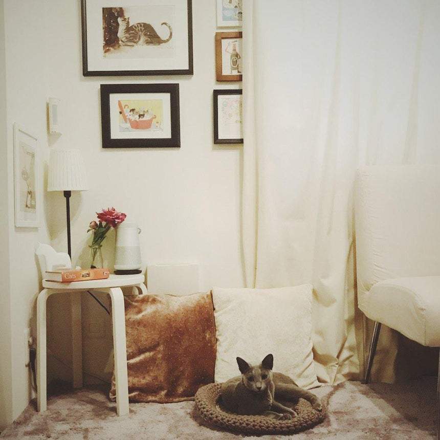 猫さんの好きなものとインテリア - Giselle & Momo