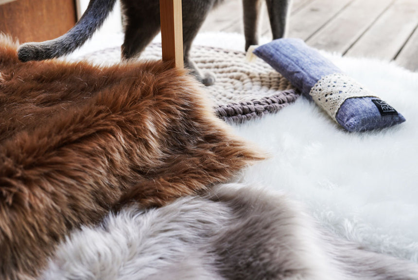 ウェブストア、オープン2周年記念プレゼント