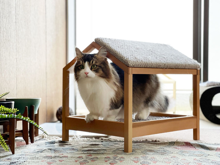 スケルトンハウスがふるさと納税の返礼品になりました!