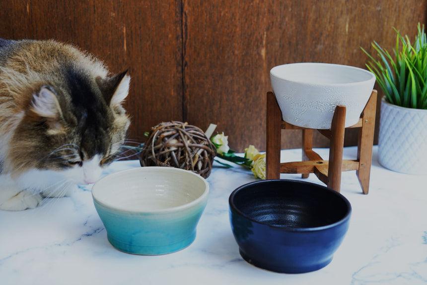 ヴィンテージの台と水飲み器