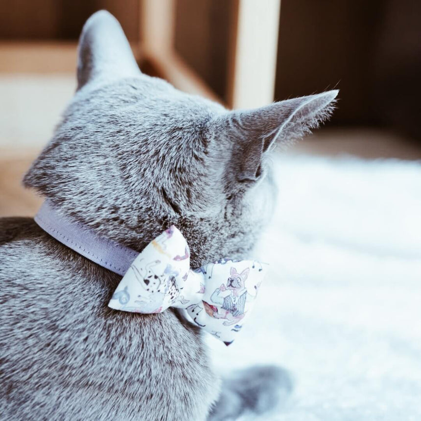 animal ribon collar and Giselle