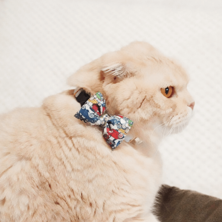 リボン -リバティのくるま柄 ブルー - Giselle & Momo