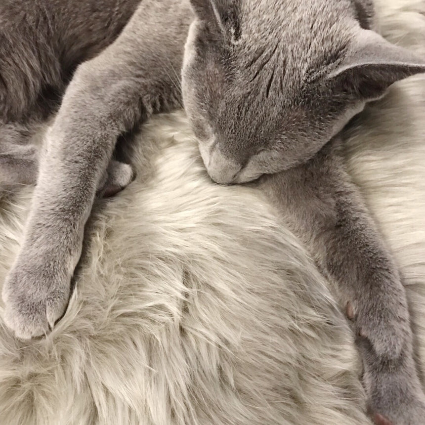 エコファーグレージュ