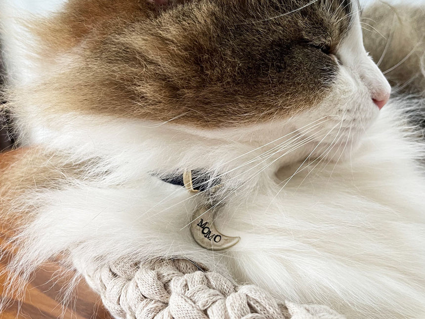 三日月型迷子札