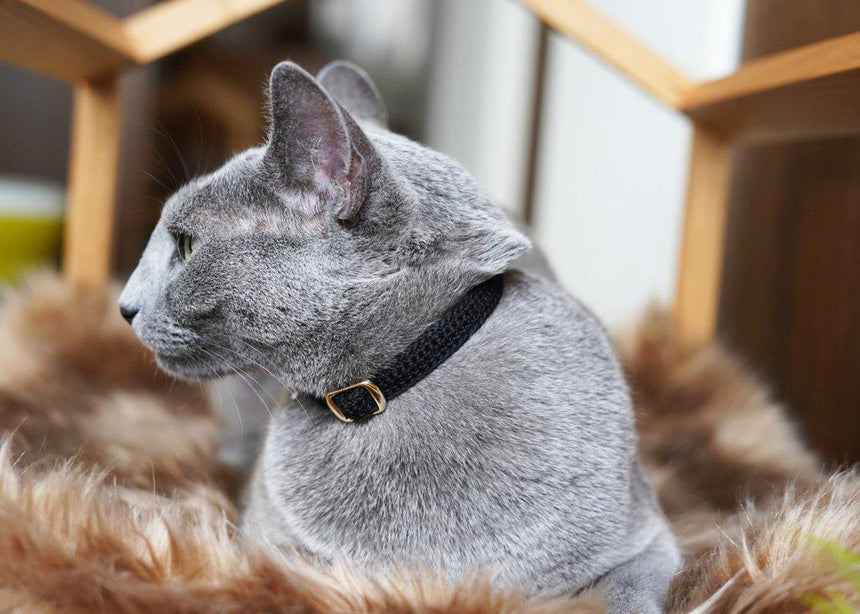 レース編みの首輪 -ブラック - Giselle & Momo