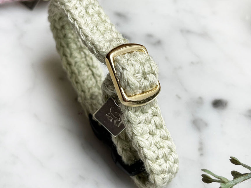 メロン首輪のアップ