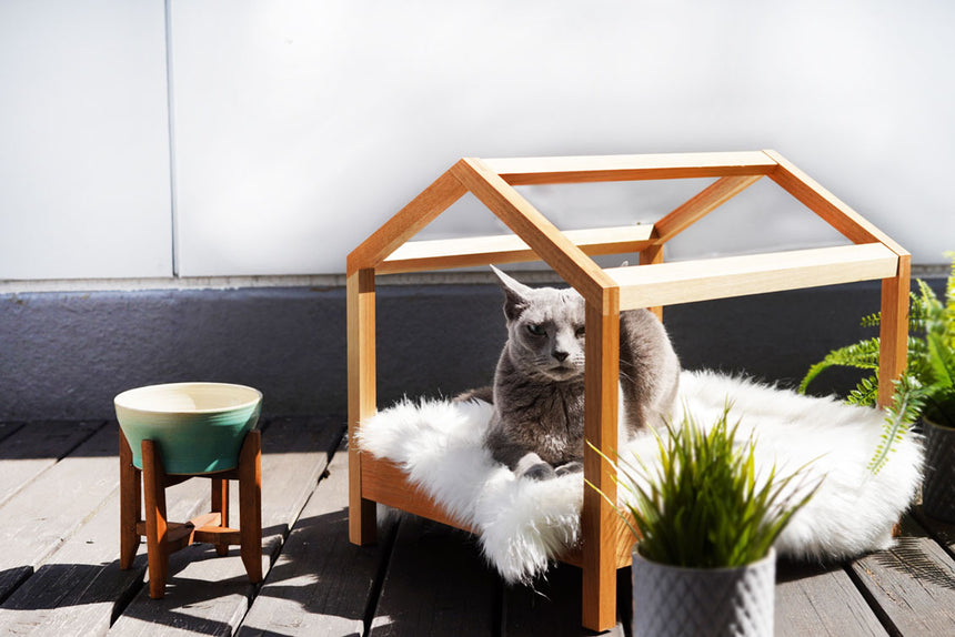 ハウスに入るジゼル