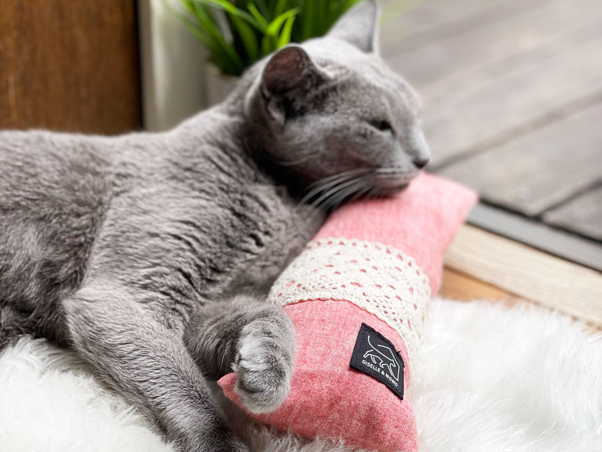 ケリケリは枕にもなります