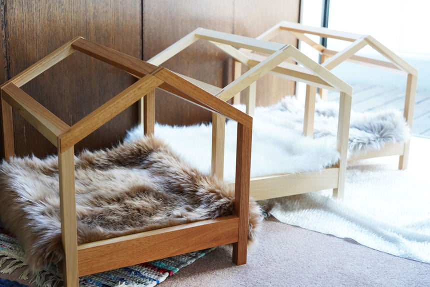 スケルトンハウス あおかつら