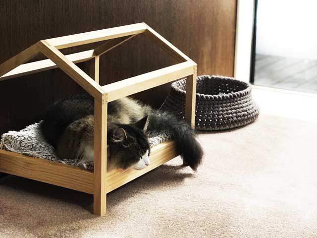 A cat's house to change clothes and play